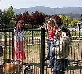 AlmadenDogPark06-002b.jpg