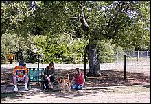 AlmadenDogPark06-008b.jpg