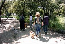 AlmadenDogPark06-029b.jpg