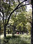 AlmadenDogPark06-034b.jpg