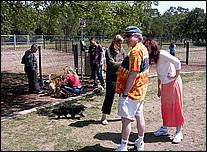 AlmadenDogPark06-061b.jpg