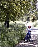 AlmadenDogPark06-085b.jpg