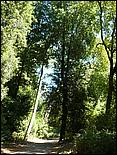 HenryCowell_hike08-007b.jpg