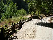 HenryCowell_hike08-012b.jpg