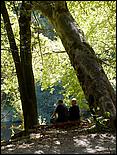 HenryCowell_hike08-018c.jpg