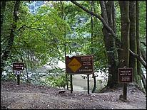 HenryCowell_hike08-124b.jpg