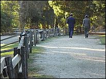 HenryCowell_hike08-139b.jpg