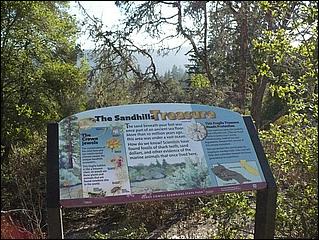 HenryCowell_hike08-094b.jpg