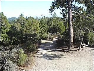 HenryCowell_hike08-100b.jpg