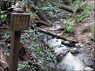 HenryCowell_hike08-123c.jpg