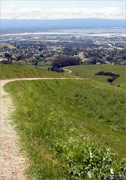 05YAC_FremontHike-087b.jpg