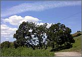 05YAC_FremontHike-081b.jpg
