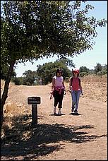 YAC06-PicchettiRanch-086b.jpg