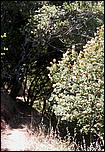 YAC06-PicchettiRanch-043b.jpg