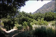 YAC06-PicchettiRanch-055a.jpg