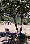 YAC06-PicchettiRanch-083b.jpg