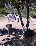 YAC06-PicchettiRanch-084b.jpg