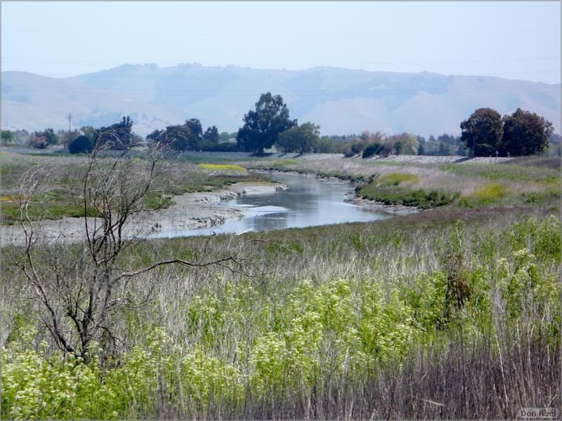 Bike-AlamedaCreekTrail09-028ab.jpg - for personal use