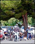 Bike-AlamedaCreekTrail09-001c2.jpg