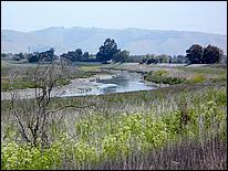 Bike-AlamedaCreekTrail09-028ab.jpg