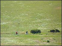 Bike-AlamedaCreekTrail09-045c.jpg