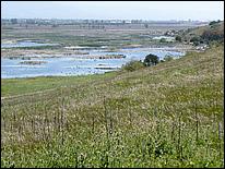 Bike-AlamedaCreekTrail09-056ab.jpg