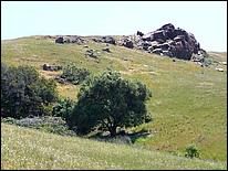 Bike-AlamedaCreekTrail09-061c.jpg
