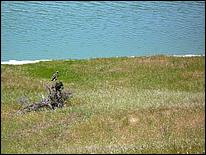 Bike-AlamedaCreekTrail09-063c.jpg