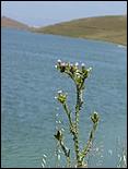 Bike-AlamedaCreekTrail09-066b.jpg