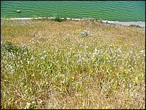 Bike-AlamedaCreekTrail09-067ab.jpg