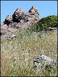 Bike-AlamedaCreekTrail09-069ab.jpg
