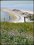 Bike-AlamedaCreekTrail09-077c.jpg
