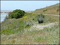 Bike-AlamedaCreekTrail09-083ab.jpg