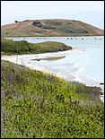 Bike-AlamedaCreekTrail09-084c.jpg
