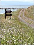 Bike-AlamedaCreekTrail09-086c.jpg