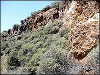 Bike-AlamedaCreekTrail09-124ab.jpg