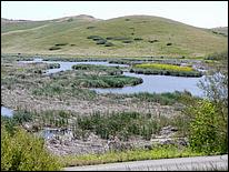 Bike-AlamedaCreekTrail09-127ab.jpg