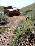 Bike-AlamedaCreekTrail09-129c.jpg