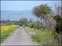 Bike-AlamedaCreekTrail09-240ab.jpg