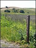 Bike-AlamedaCreekTrail09-243c.jpg