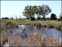 Bike-AlamedaCreekTrail09-251c.jpg