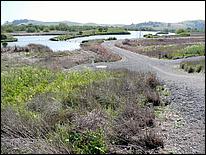 Bike-AlamedaCreekTrail09-258ab.jpg