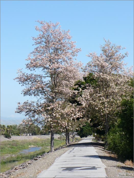 Bike-AlamedaCreekTrail09-266b.jpg - for personal use