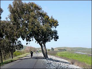 Bike-AlamedaCreekTrail09-023ab.jpg