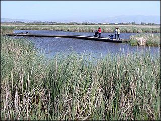 Bike-AlamedaCreekTrail09-207c.jpg