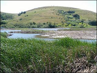 Bike-AlamedaCreekTrail09-220b.jpg