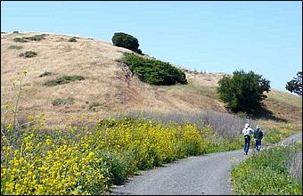 Bike-AlamedaCreekTrail09-225c2.jpg