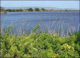 Bike-AlamedaCreekTrail09-226c.jpg