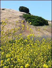 Bike-AlamedaCreekTrail09-227c.jpg