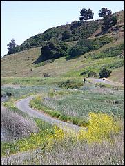 Bike-AlamedaCreekTrail09-233c.jpg